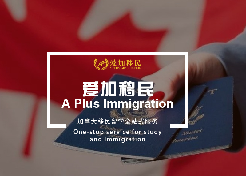 title_69d7f23eb12a115781534491775759934